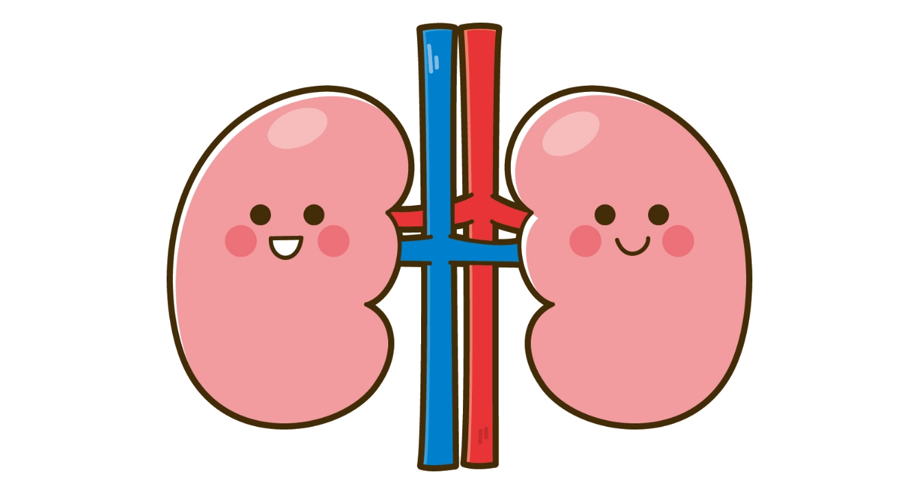 腎臓のための健康セミナー