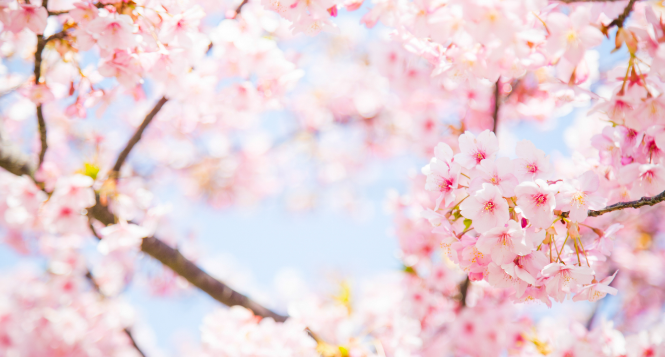 バイオリンク 工場見学ツアー